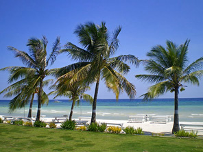 Bohol Beach